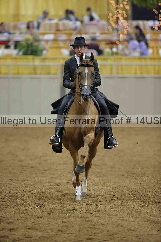 Proof 14usn_01759