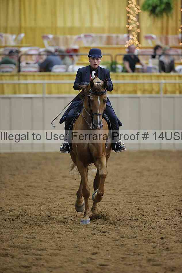 Proof 14usn_01765