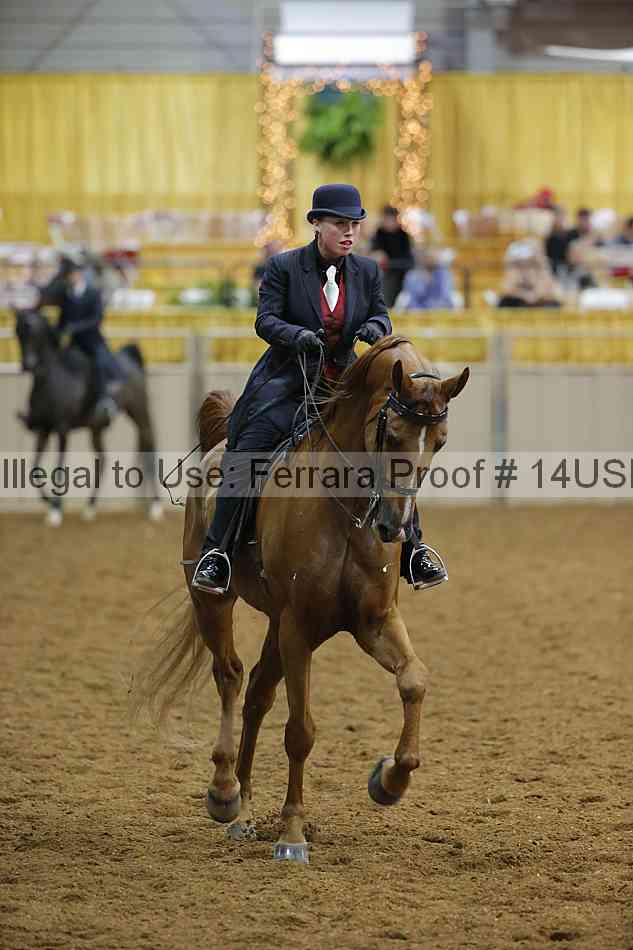 Proof 14usn_01777