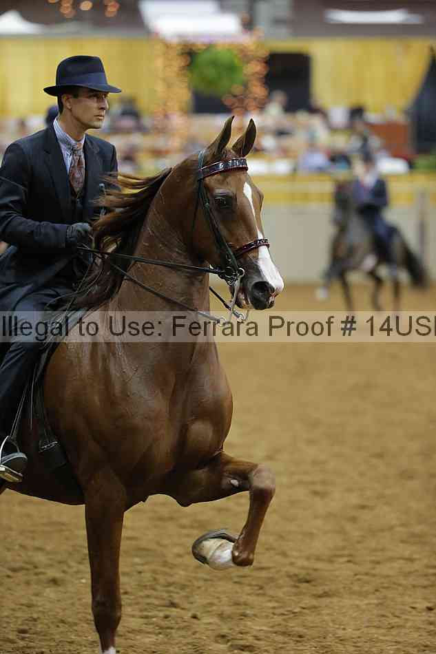 Proof 14usn_01788