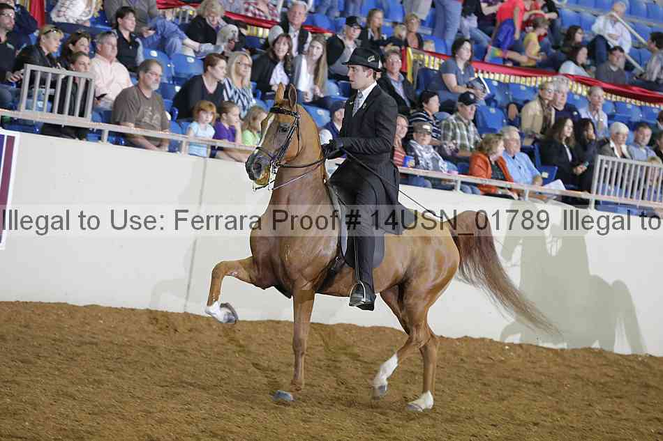 Proof 14usn_01789