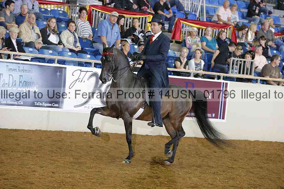 Proof 14usn_01796