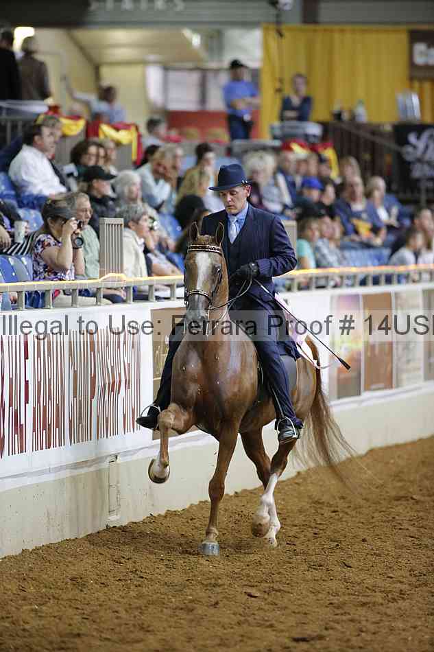 Proof 14usn_00919