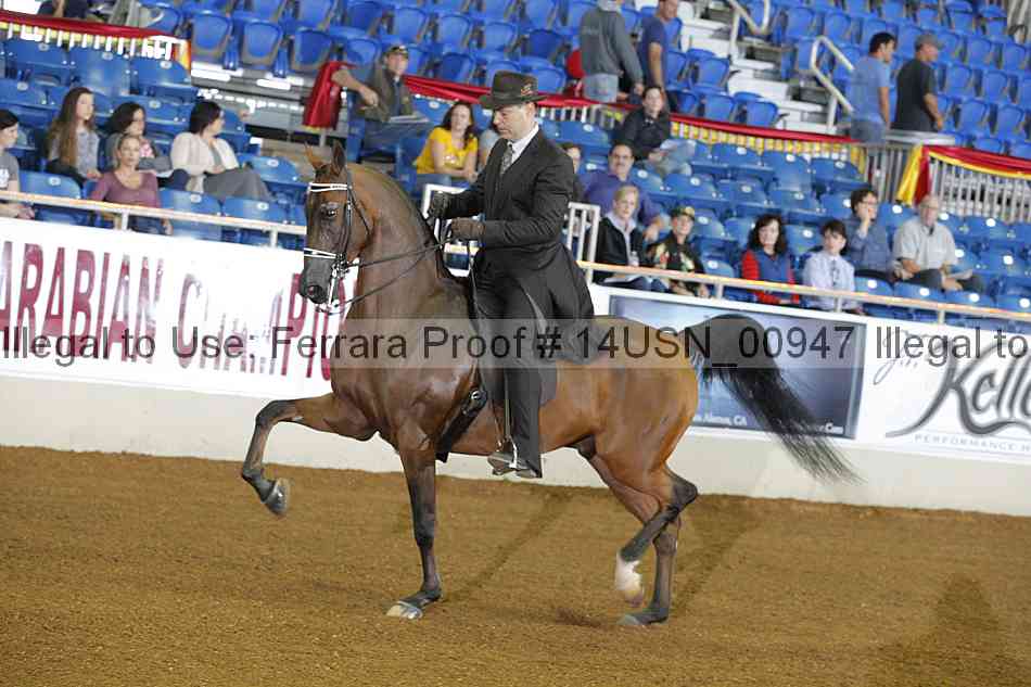 Proof 14usn_00947