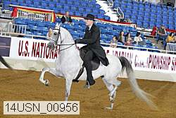 14usn_00956 proof