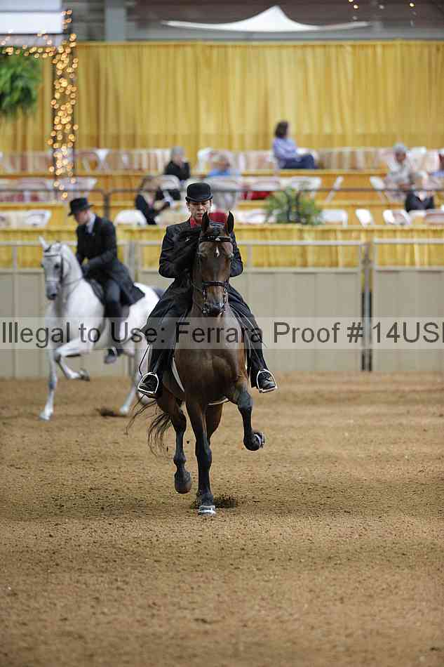 Proof 14usn_00958