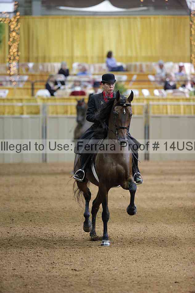Proof 14usn_00959