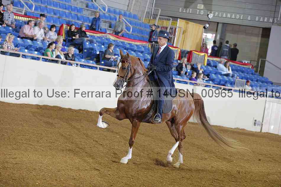 Proof 14usn_00965