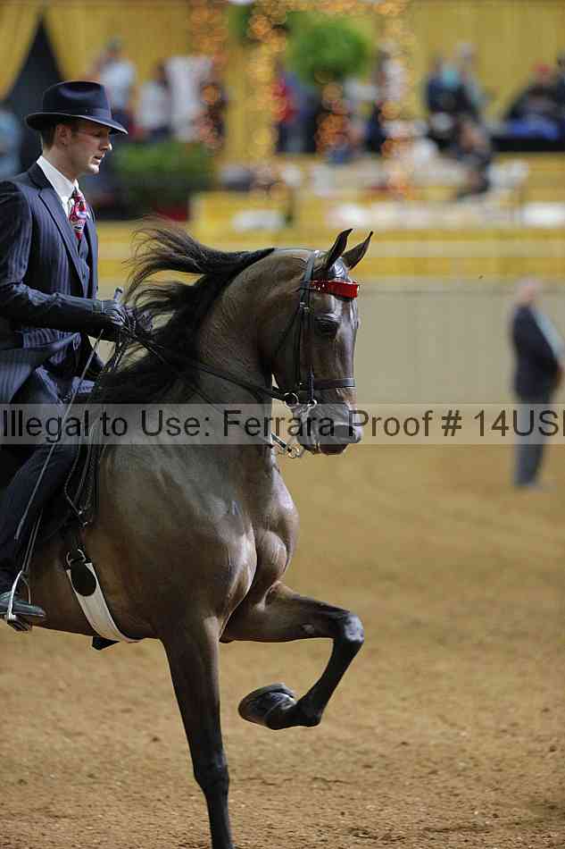 Proof 14usn_00966