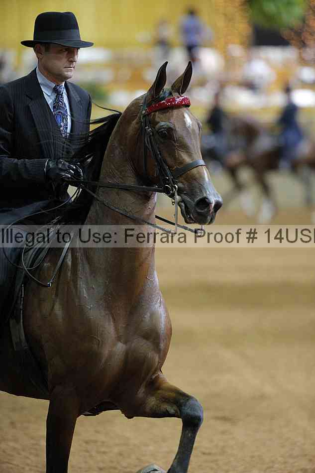 Proof 14usn_00973