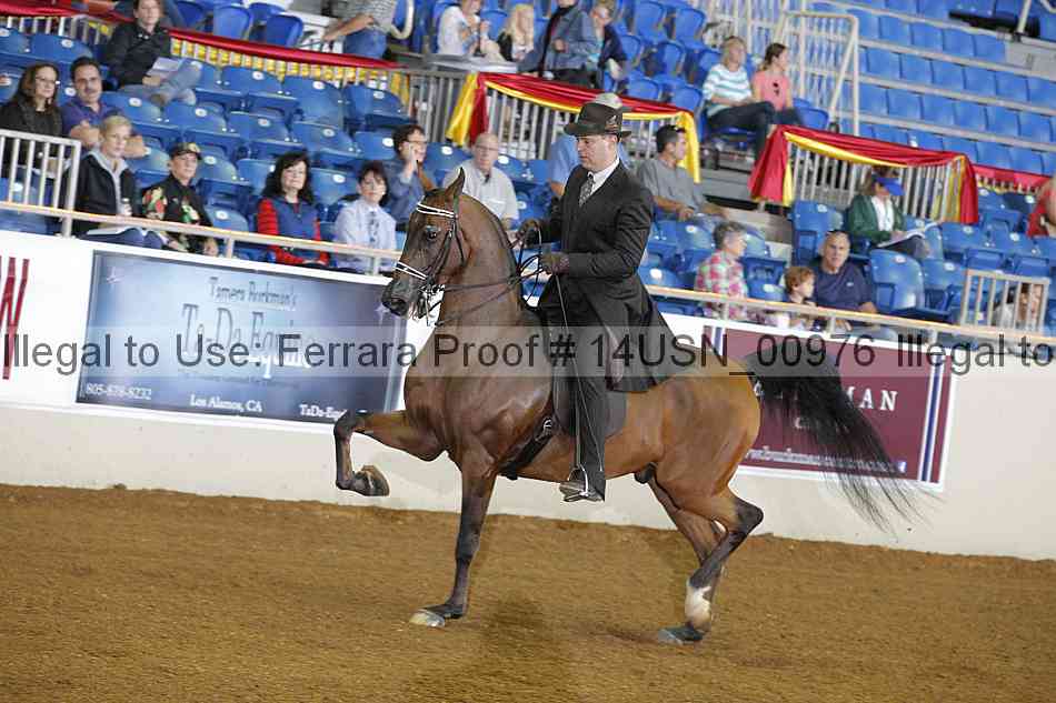 Proof 14usn_00976