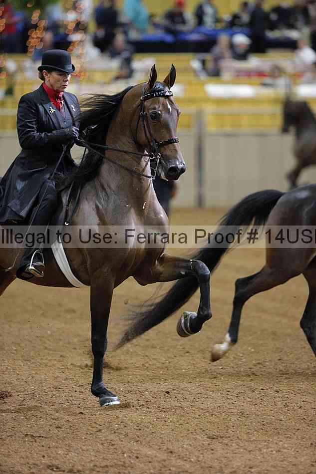Proof 14usn_00977