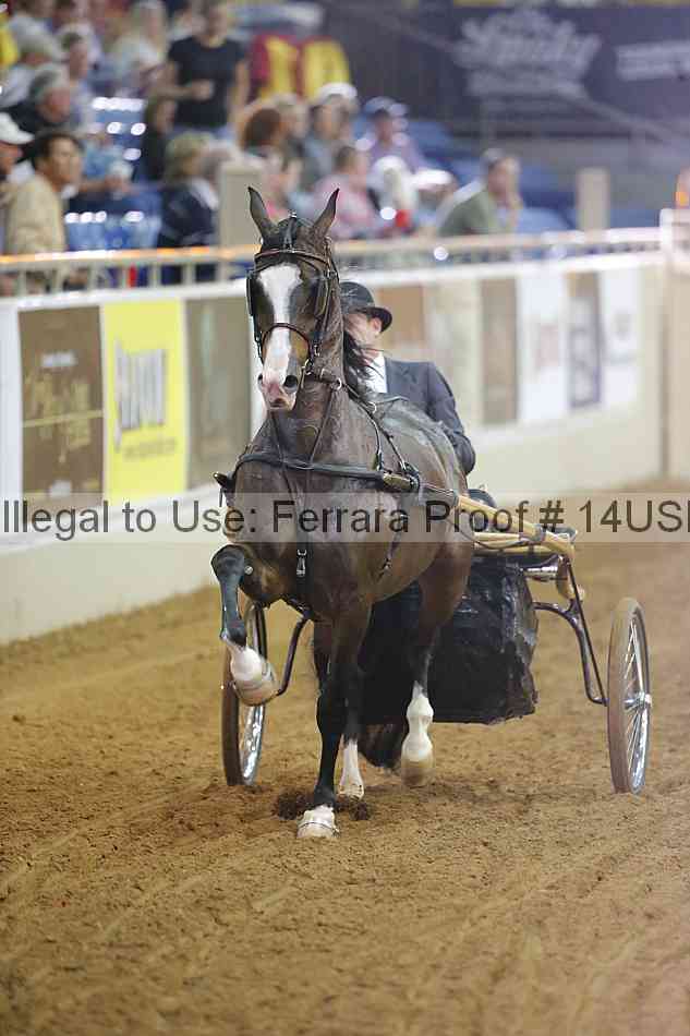Proof 14usn_18012
