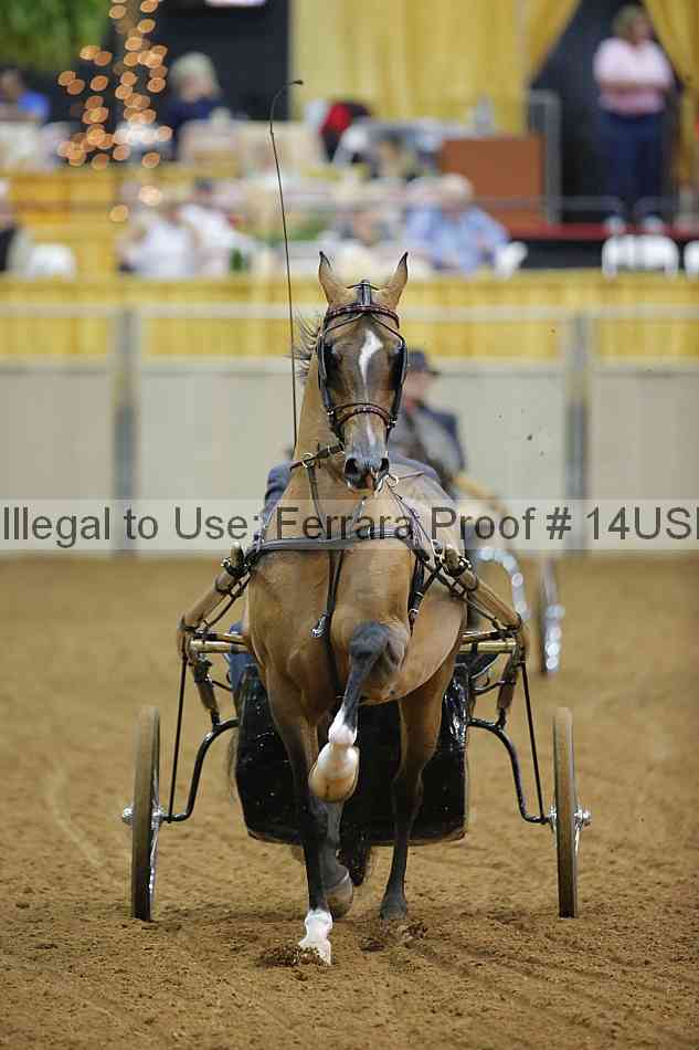 Proof 14usn_18034