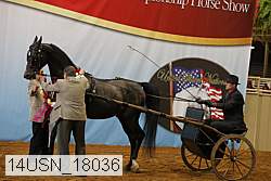 14usn_18036 proof