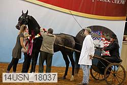 14usn_18037 proof