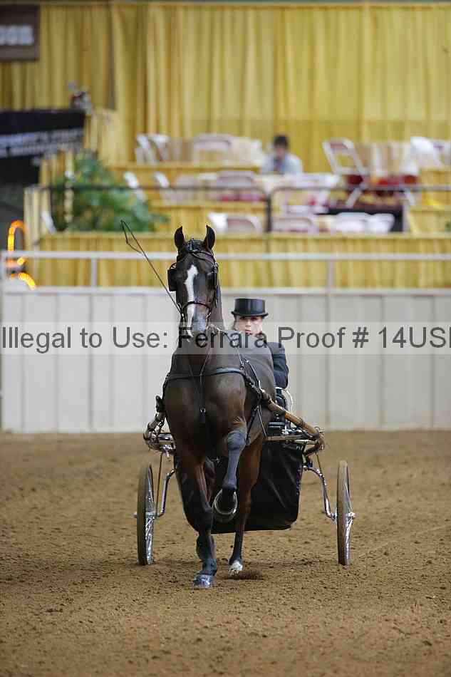 Proof 14usn_06520