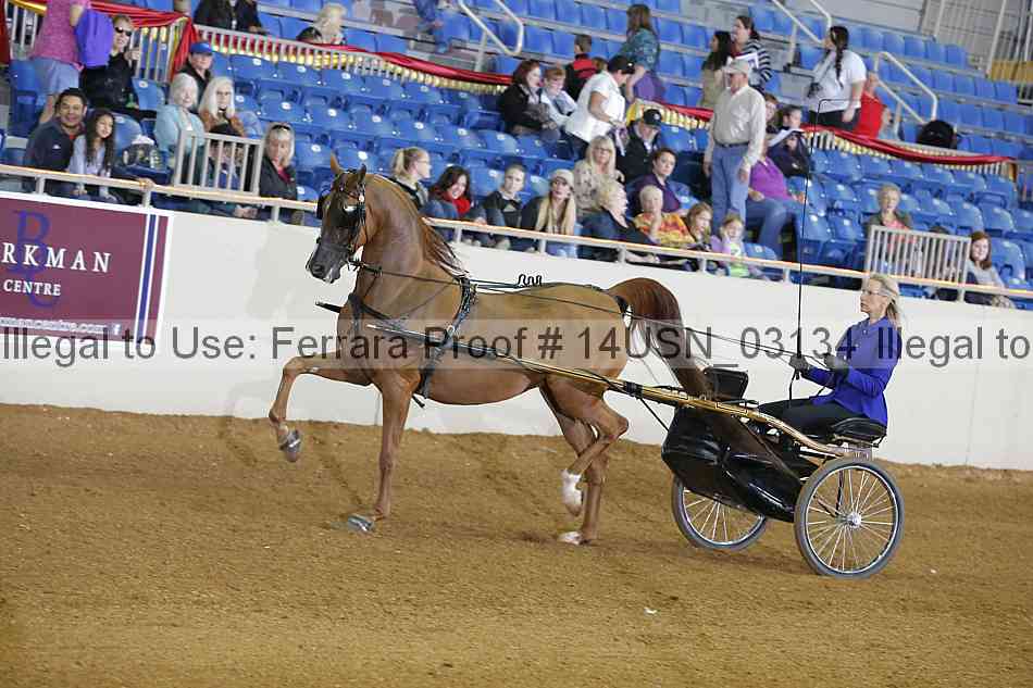 Proof 14usn_03134