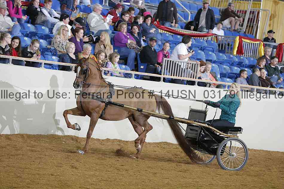 Proof 14usn_03179