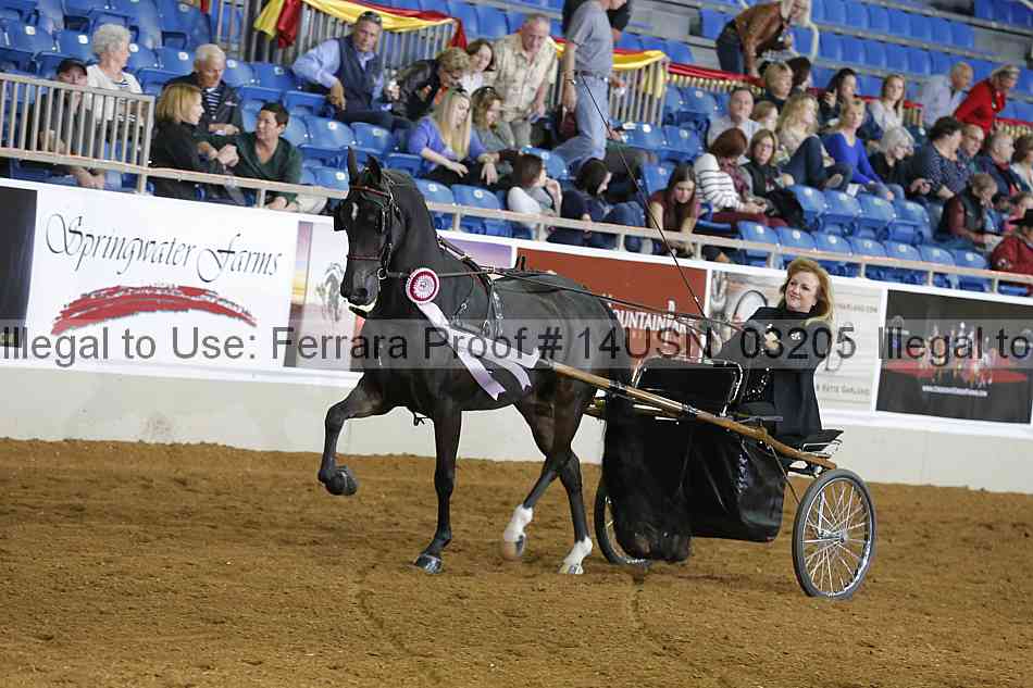 Proof 14usn_03205