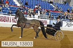 14usn_13803 proof