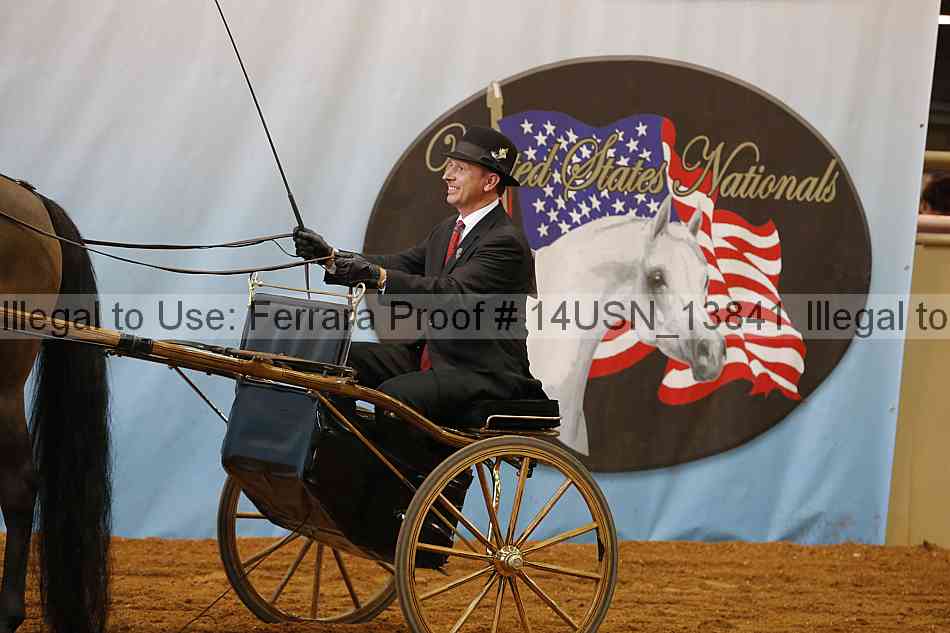 Proof 14usn_13841