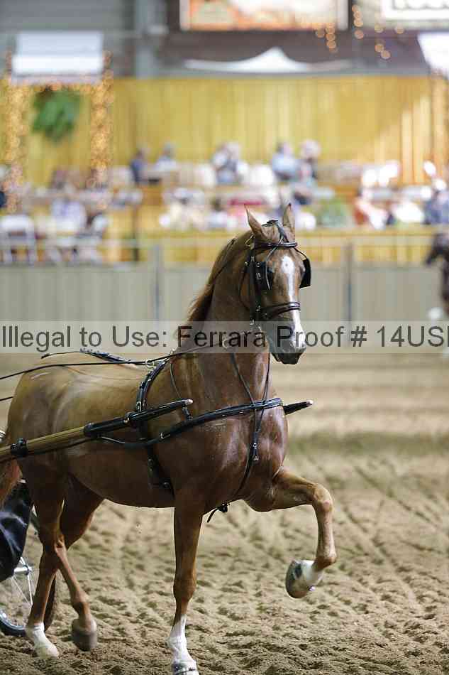 Proof 14usn_36479