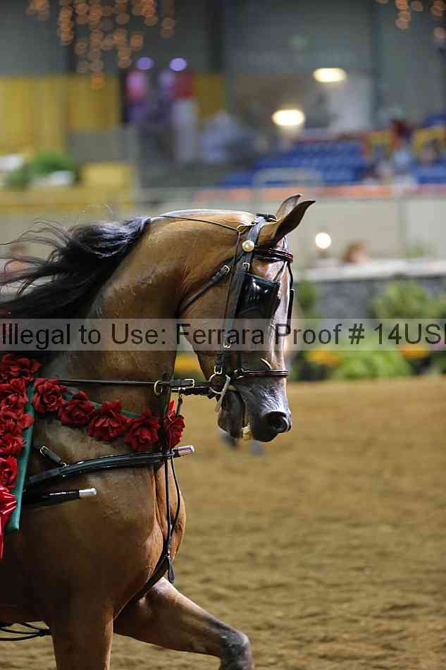 Proof 14usn_36505