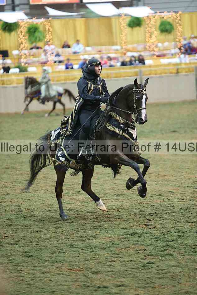 Proof 14usn_33939
