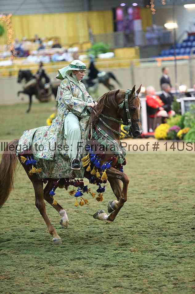 Proof 14usn_33955