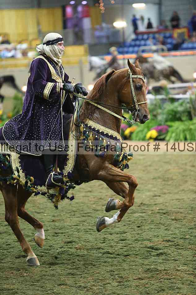 Proof 14usn_33958