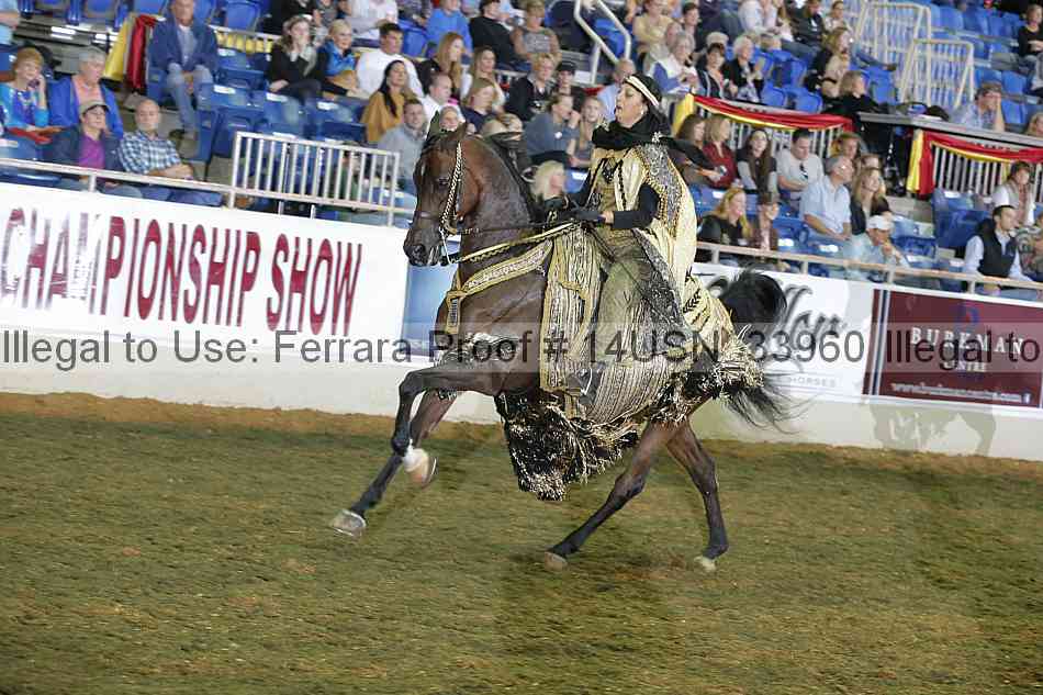 Proof 14usn_33960