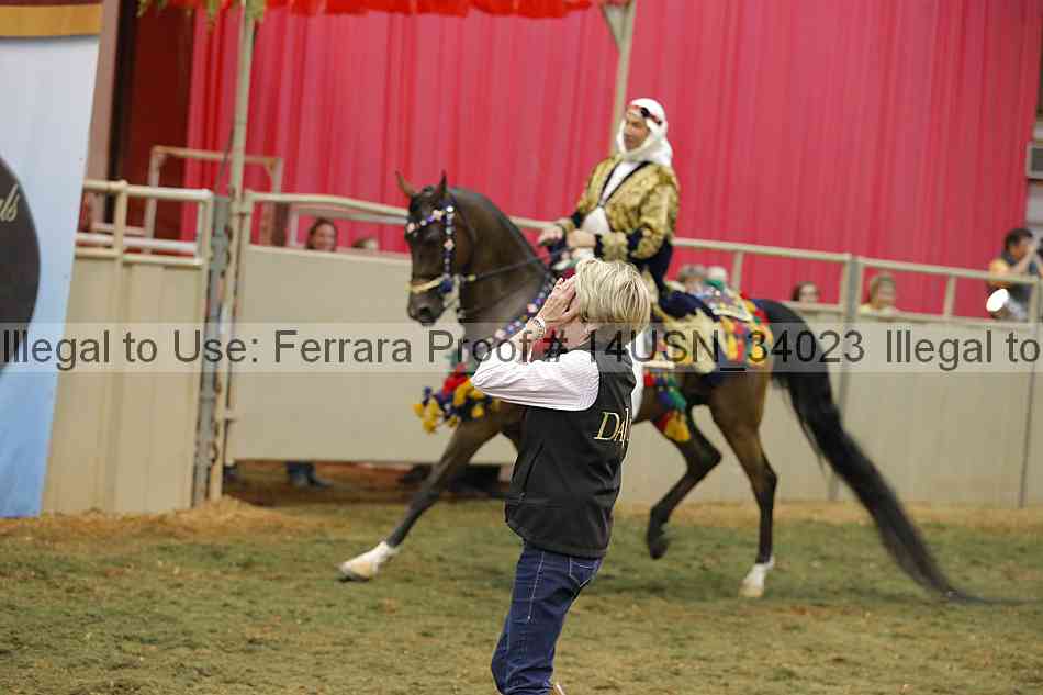 Proof 14usn_34023