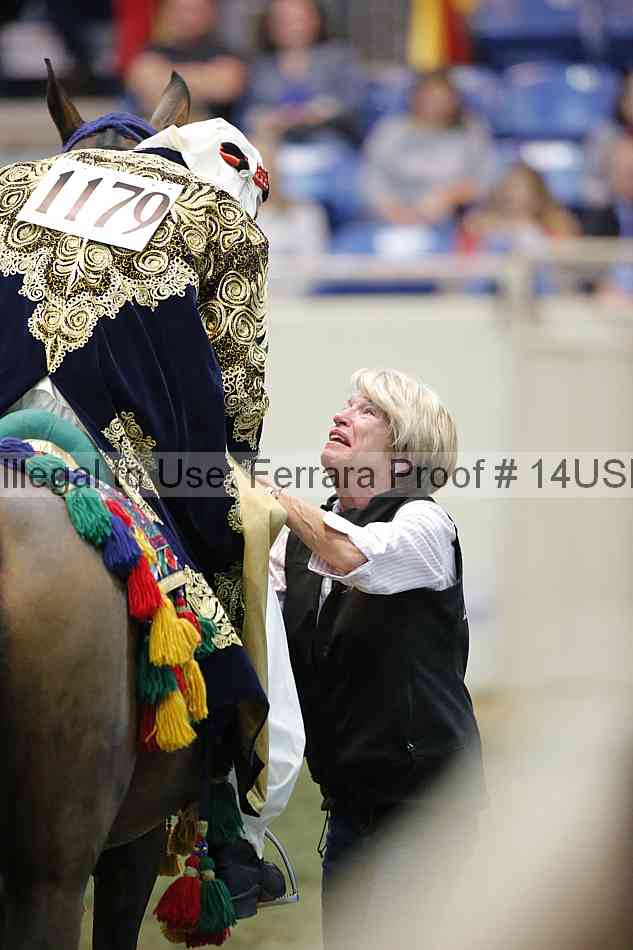 Proof 14usn_34029