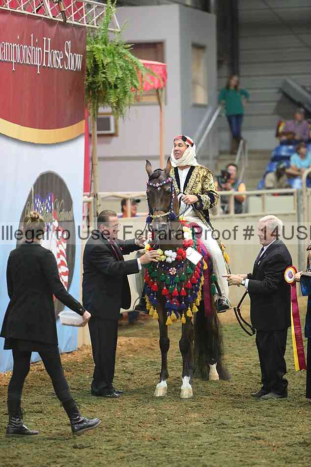 Proof 14usn_34041