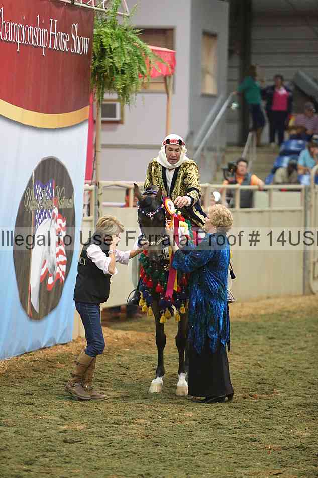 Proof 14usn_34055