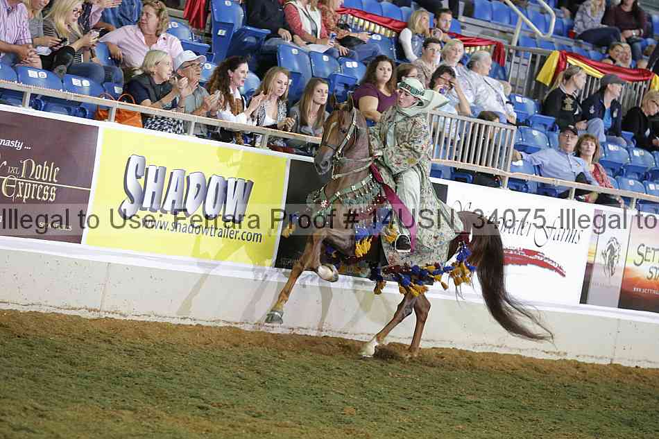 Proof 14usn_34075