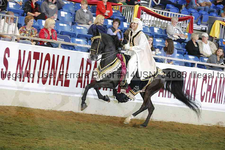 Proof 14usn_34085