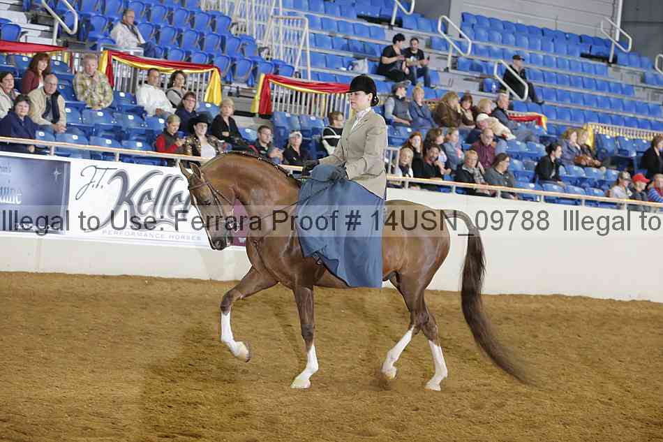 Proof 14usn_09788
