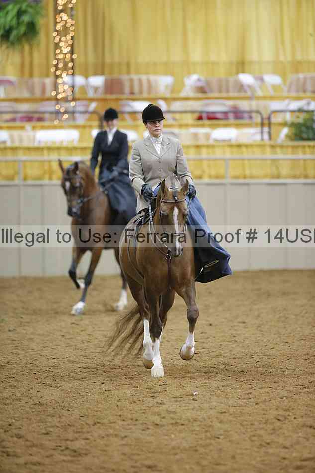 Proof 14usn_09794