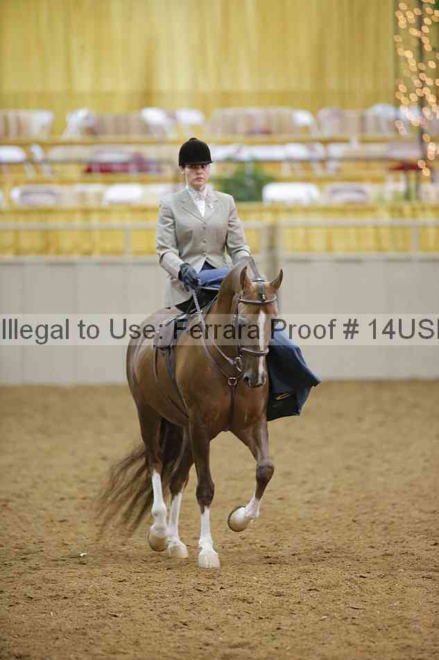 Proof 14usn_09795