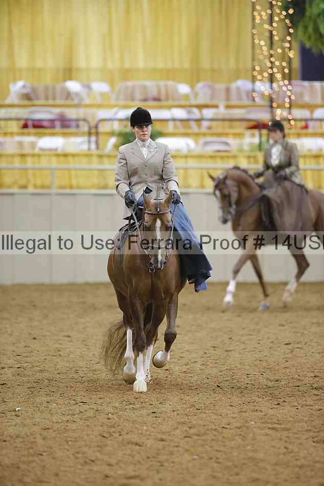 Proof 14usn_09808
