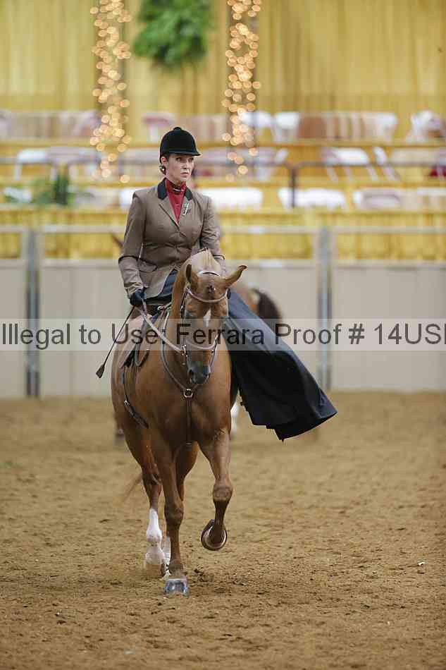 Proof 14usn_09810