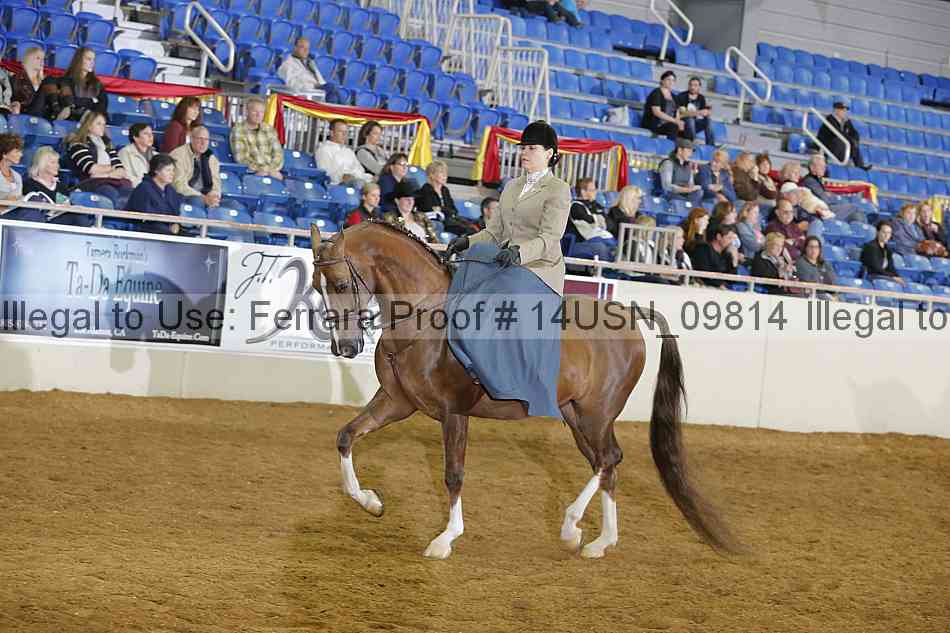 Proof 14usn_09814
