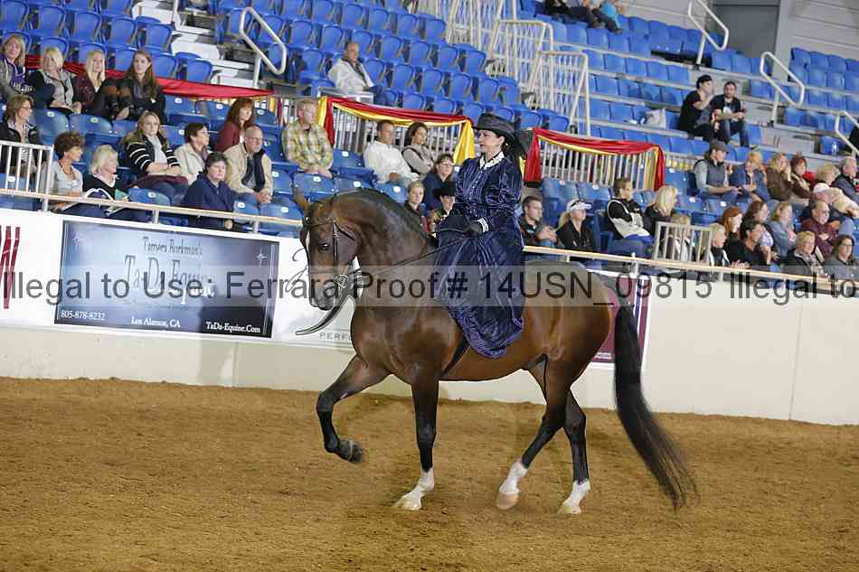 Proof 14usn_09815
