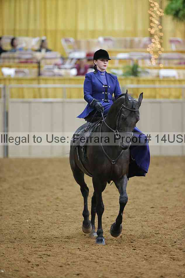 Proof 14usn_09817