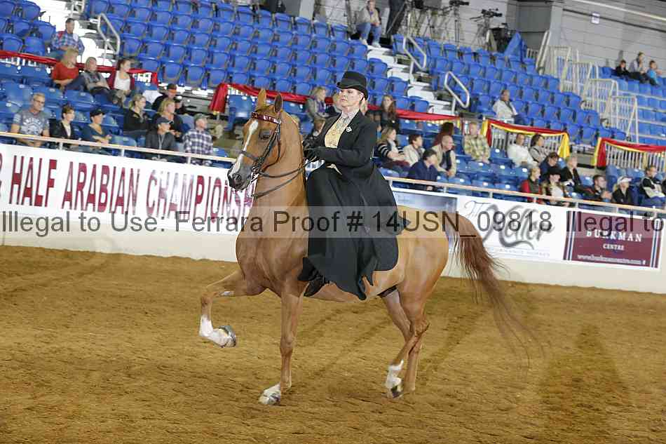 Proof 14usn_09818