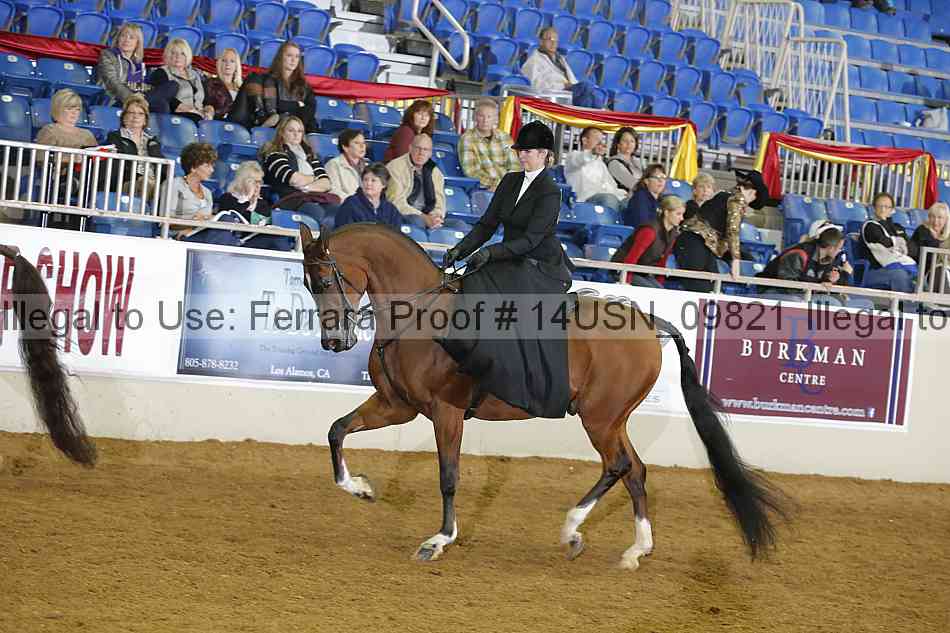 Proof 14usn_09821