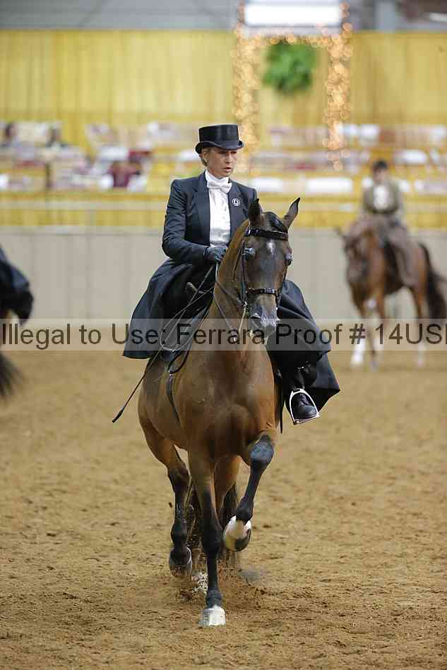 Proof 14usn_09827