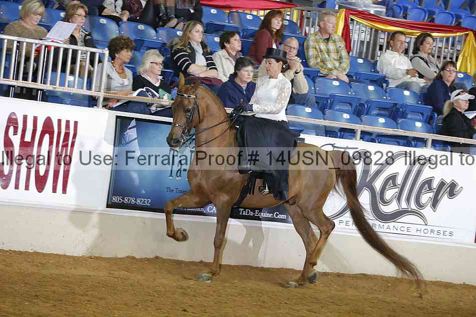 Proof 14usn_09828